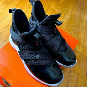 NIKE LEBRON soldier XII sfg